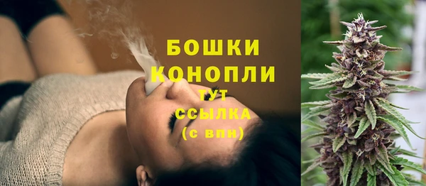амф Арсеньев