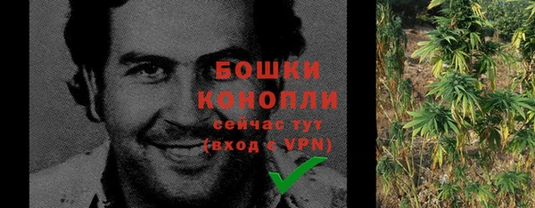 амф Арсеньев